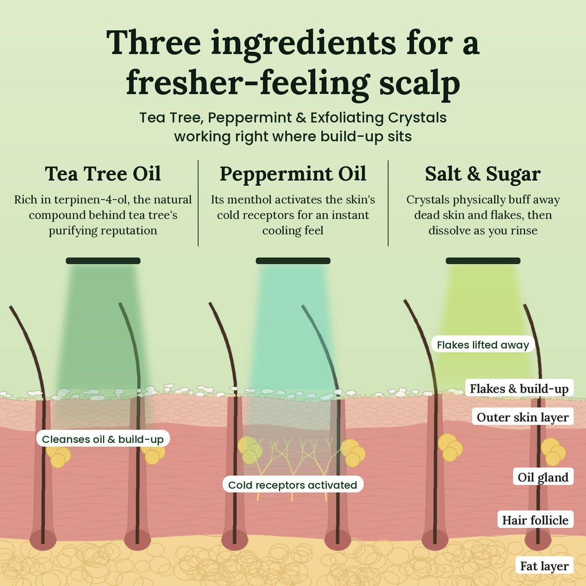 FLAKERA Tea Tree + Mint Scalp Scrub